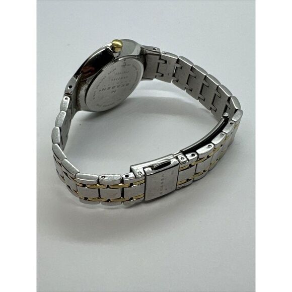 Skagen SKW2255 Women\'s Two-Tone Stainless Steel Analog Dial Quartz Watch JNA446 main image 6
